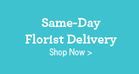 Same-Day Florist Delivered. Shop Now 